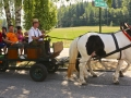 KRIVO130728_kmecki-praznik-118