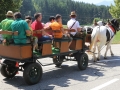 KRIVO130728_kmecki-praznik-119