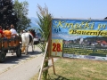 KRIVO130728_kmecki-praznik-121