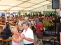 KRIVO130728_kmecki-praznik-163